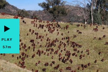 ABC-Landline-19May2019