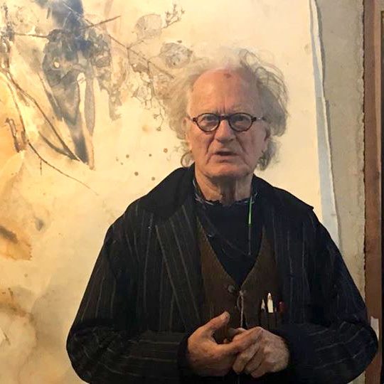 John Wolseley - Artist