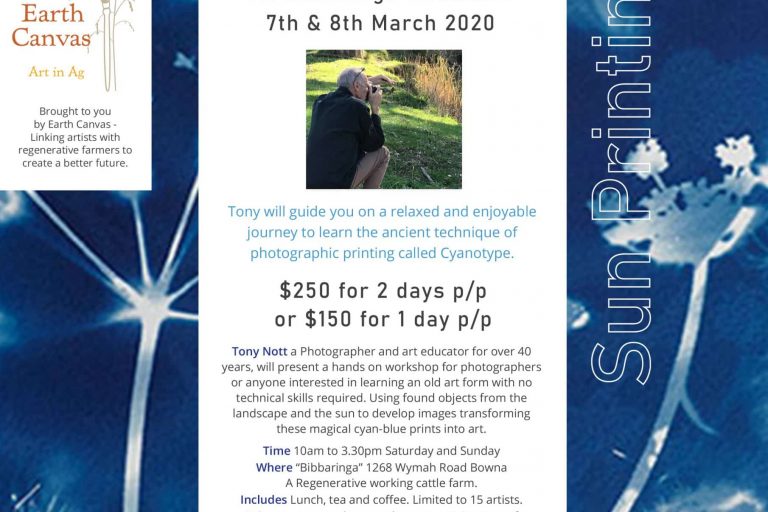 Tony Nott - Art workshop