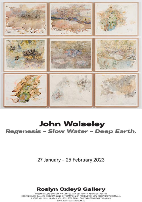 John Wolseley - Catalogue and Essay